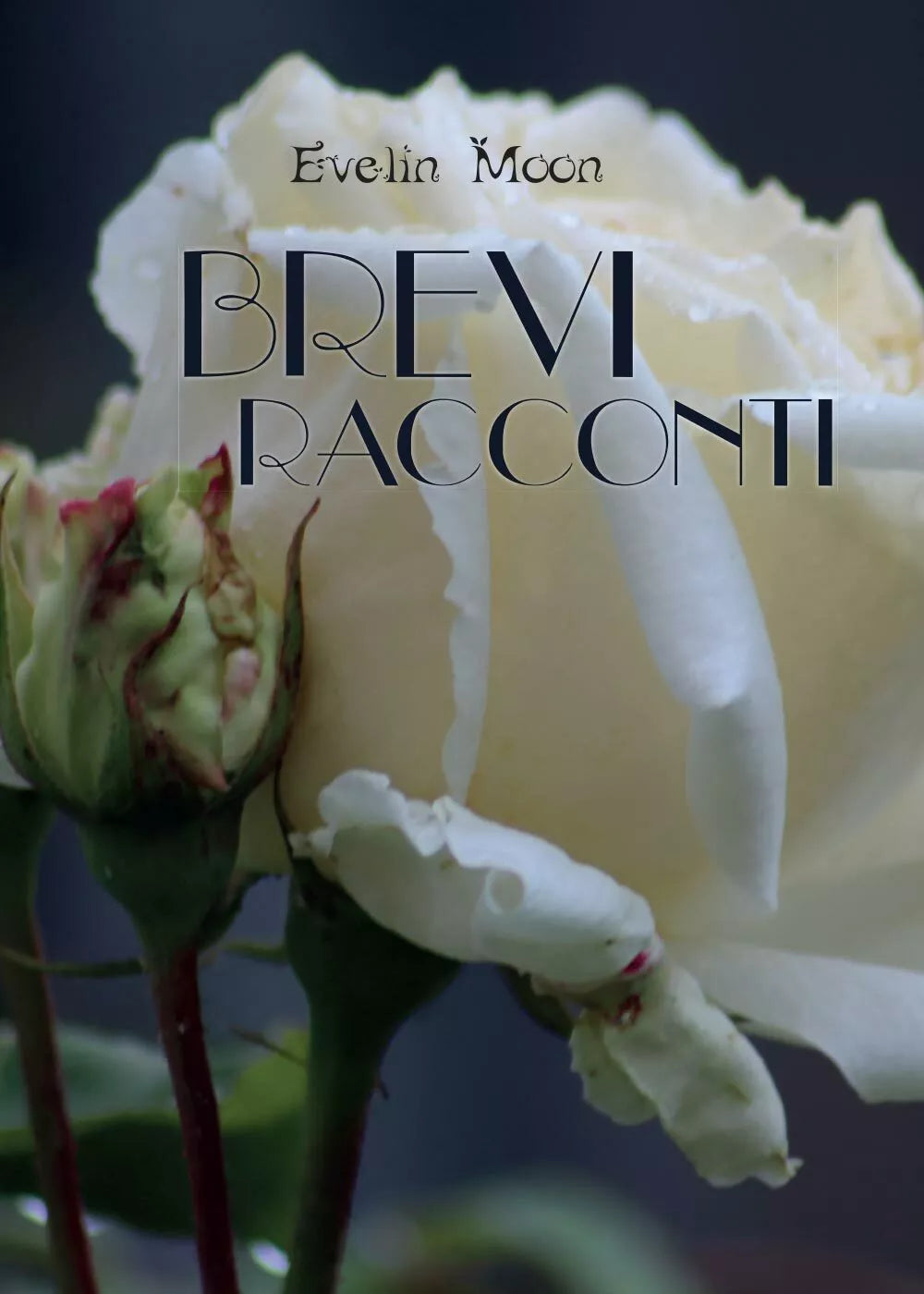Brevi racconti - di Evelin Moon, 2017, Youcanprint