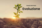 Evoluzione di Grazia Del Prete, 2019, Youcanprint
