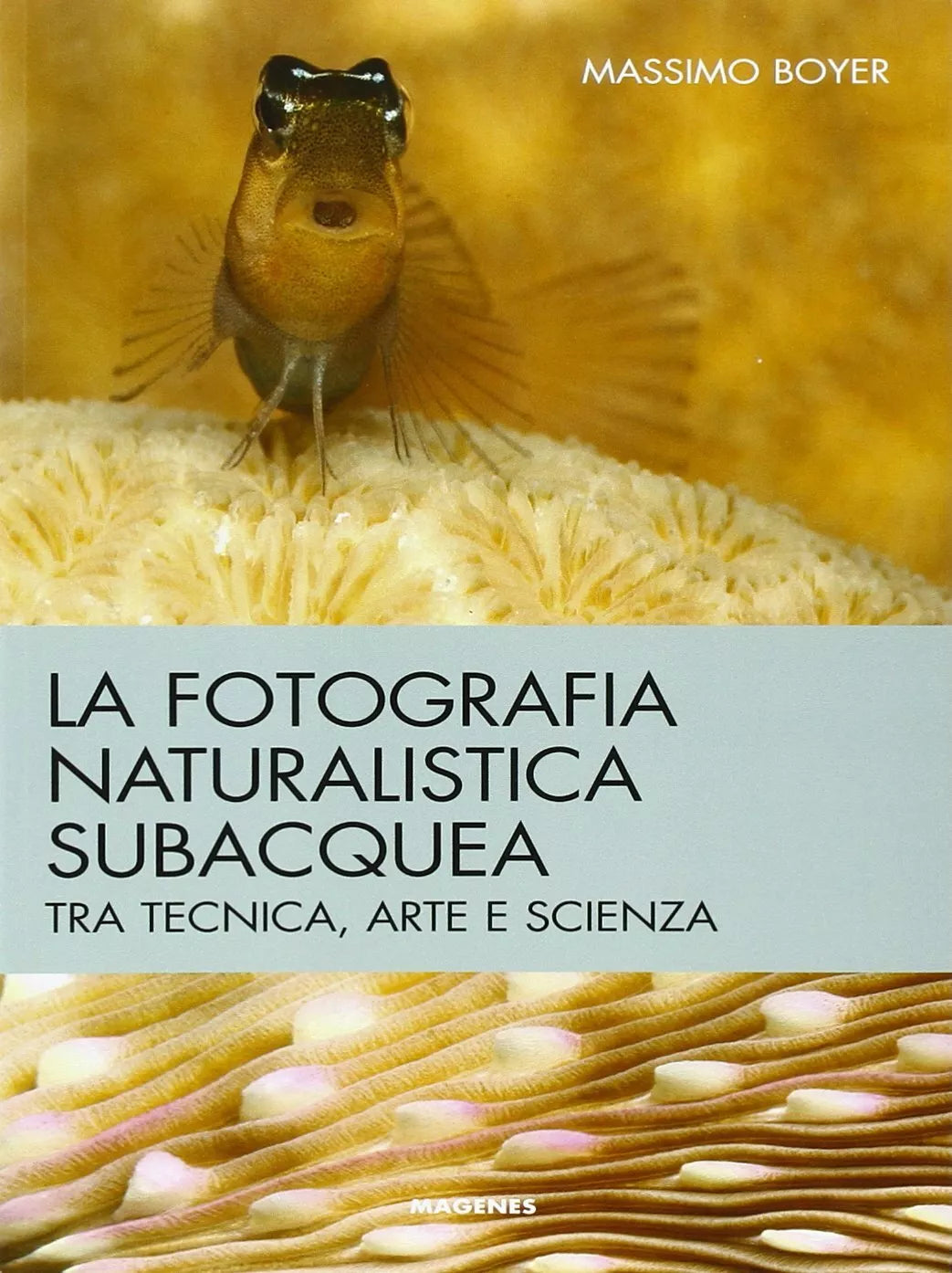 La fotografia naturalistica subacquea