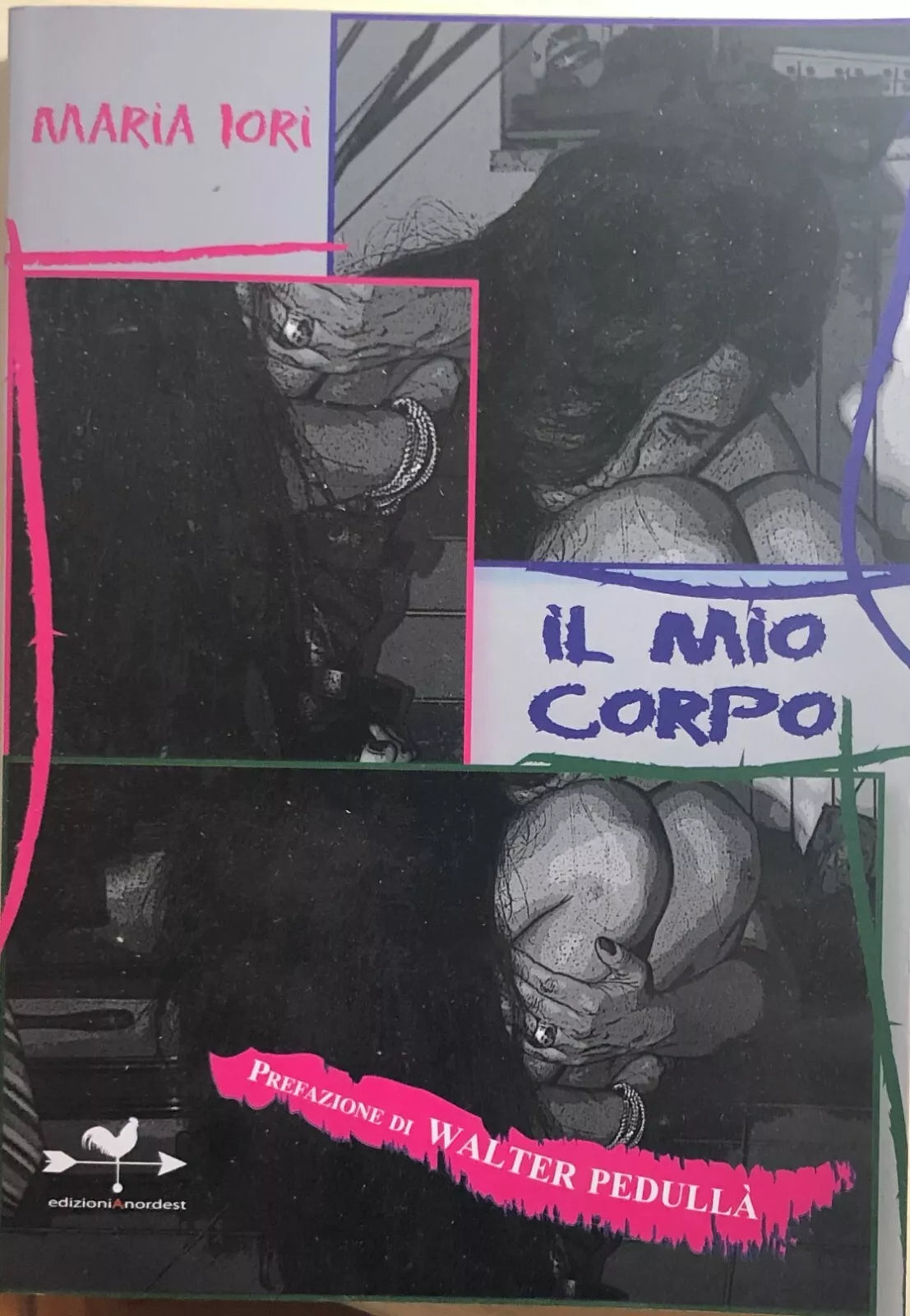 Il mio corpo di Maria Iori, 2011, Edizionianordest