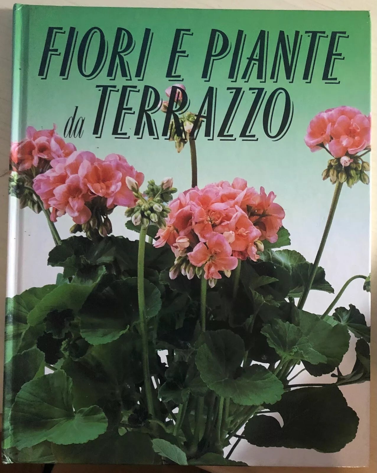 Fiori e piante da terrazzo di Aa.vv., 1989, Stock Libri Italia Srl