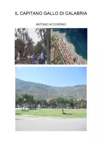 Il capitano Gallo di Calabria di Antonio Accordino