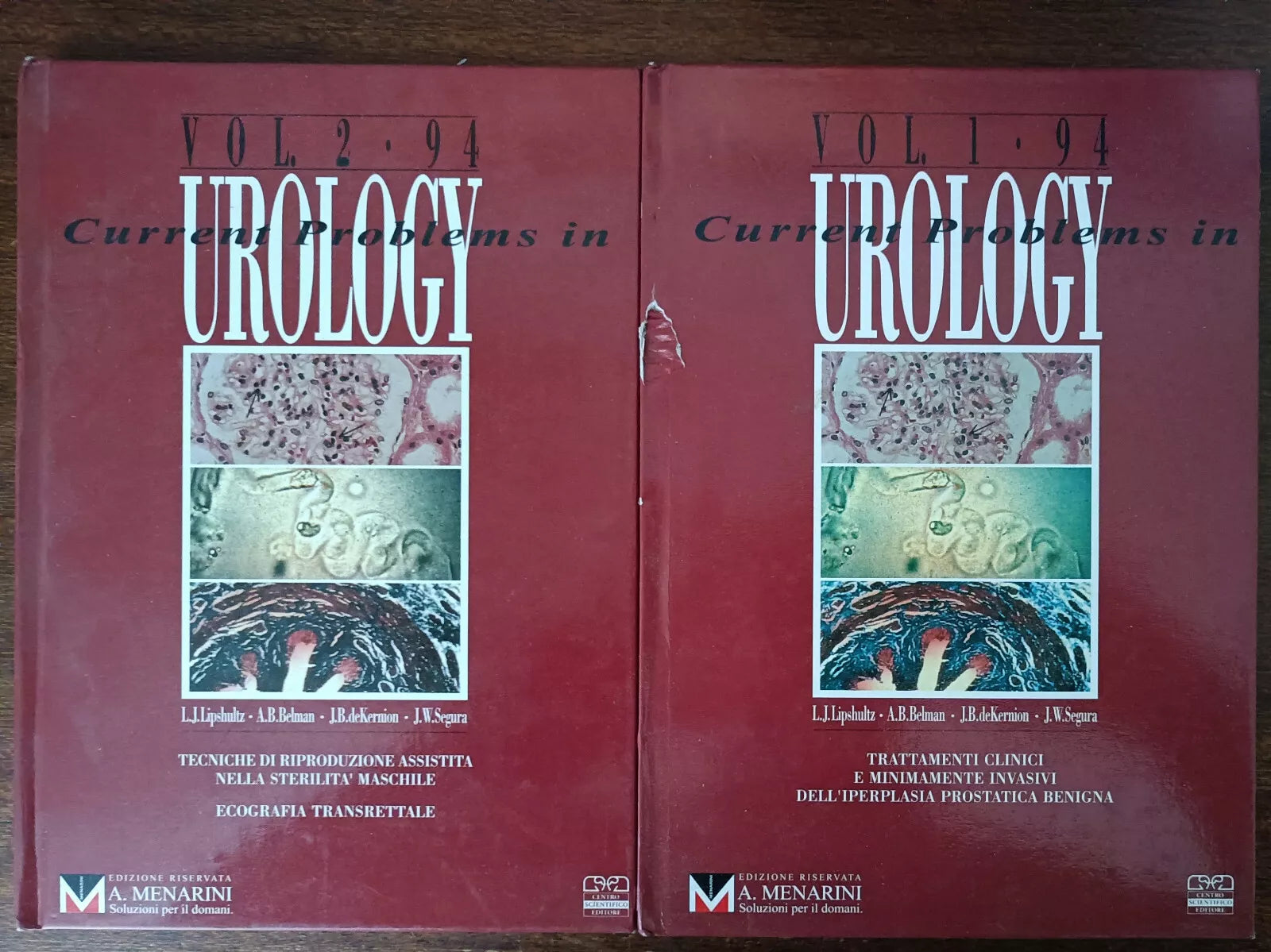 Current problems in urology Vol 1