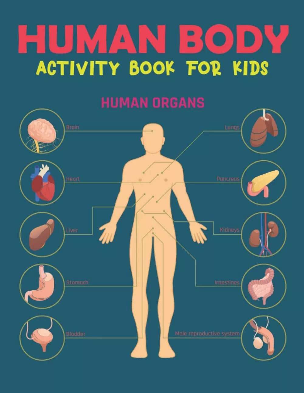 HUMAN BODY ACTIVITY BOOK FOR KIDS