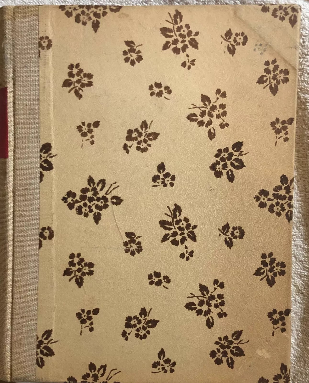 Geneve di Paul Chaponniere, 1930, Succ’Des Editions J. Rey Grenoble
