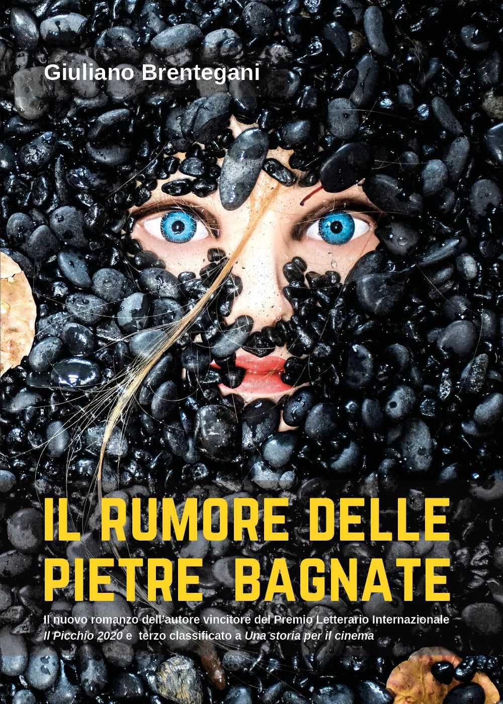 Il rumore delle pietre bagnate di Giuliano Brentegani, 2021, Youcanprint