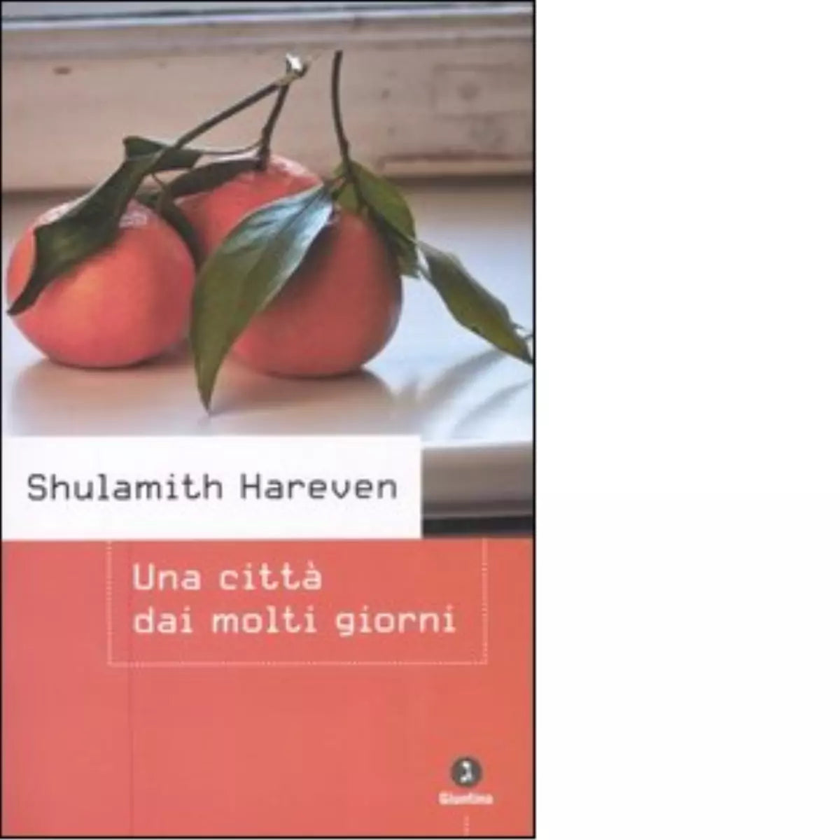 Una citt dai molti giorni di Shulamith Hareven