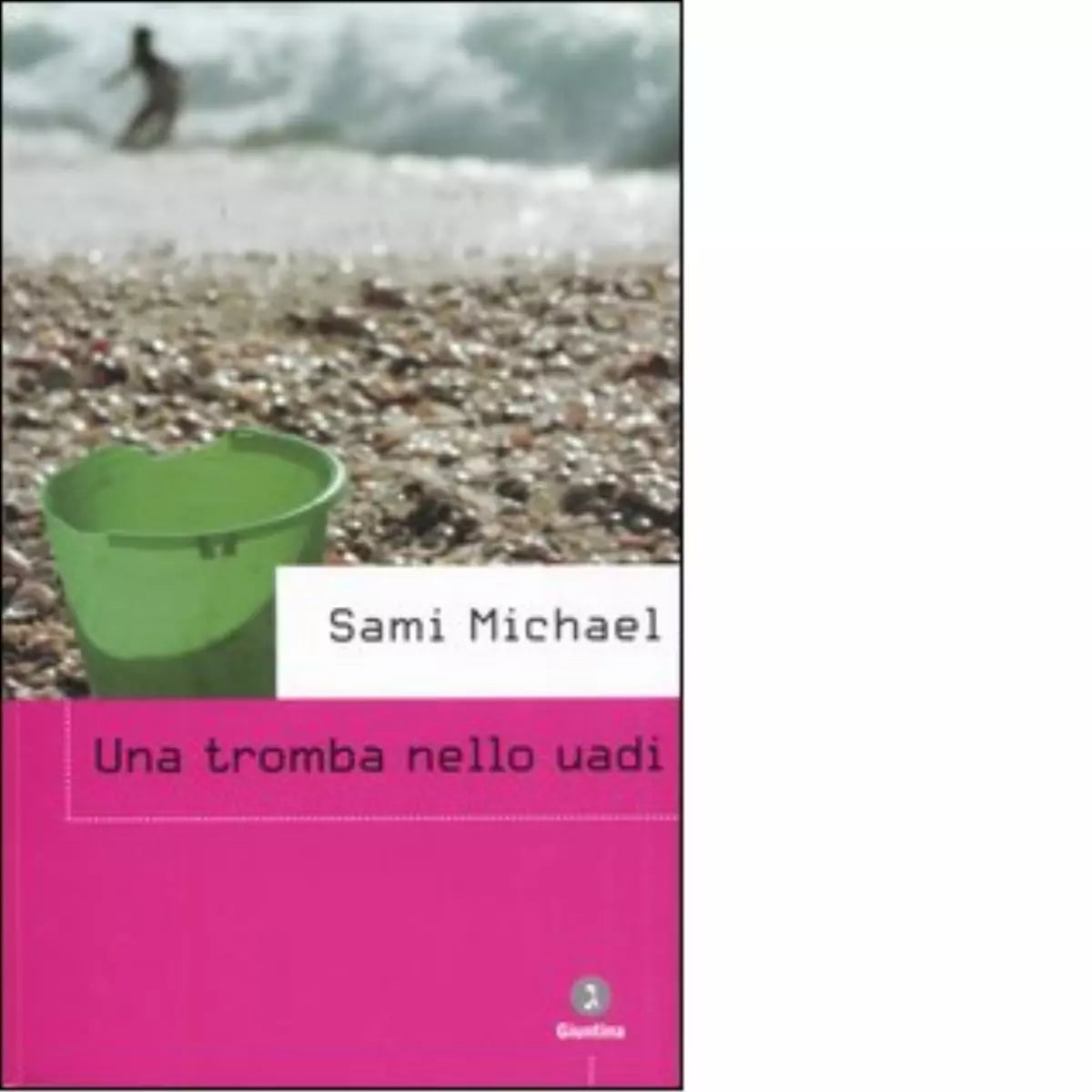 Una tromba nello uadi di Sami Michael