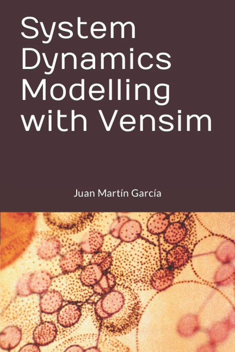 System Dynamics Modelling with Vensim di Mart, 2018, Indipendently Published