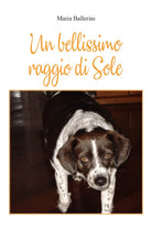 Un bellissimo raggio di sole di Maria Ballerini, 2021, Youcanprint