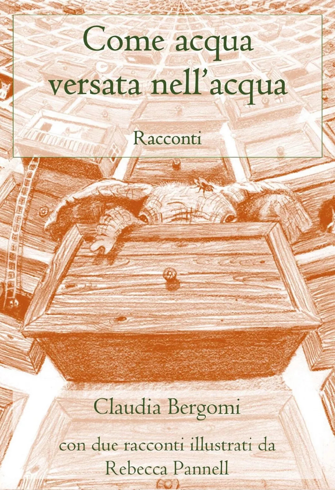 Come acqua versata nell’acqua di Claudia Bergomi, 2019, Youcanprint