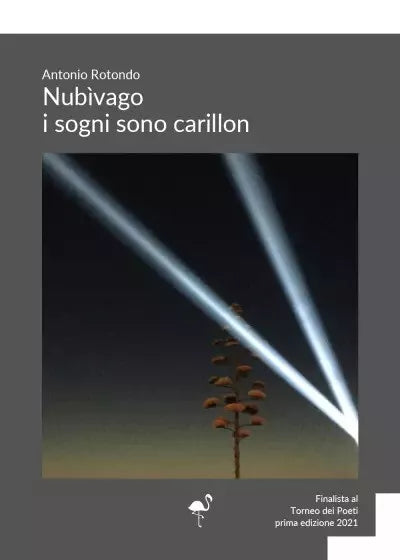 Nub vago