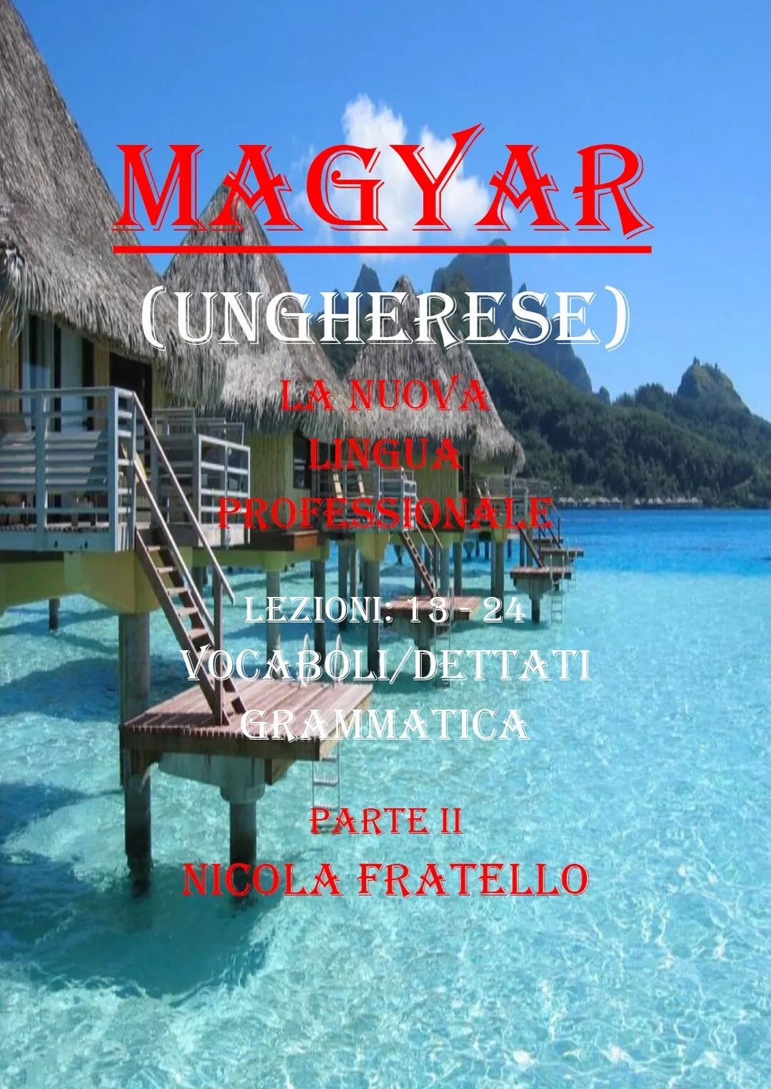 Magyar. La nuova lingua professionale. Parte II di Nicola Fratello, 2019