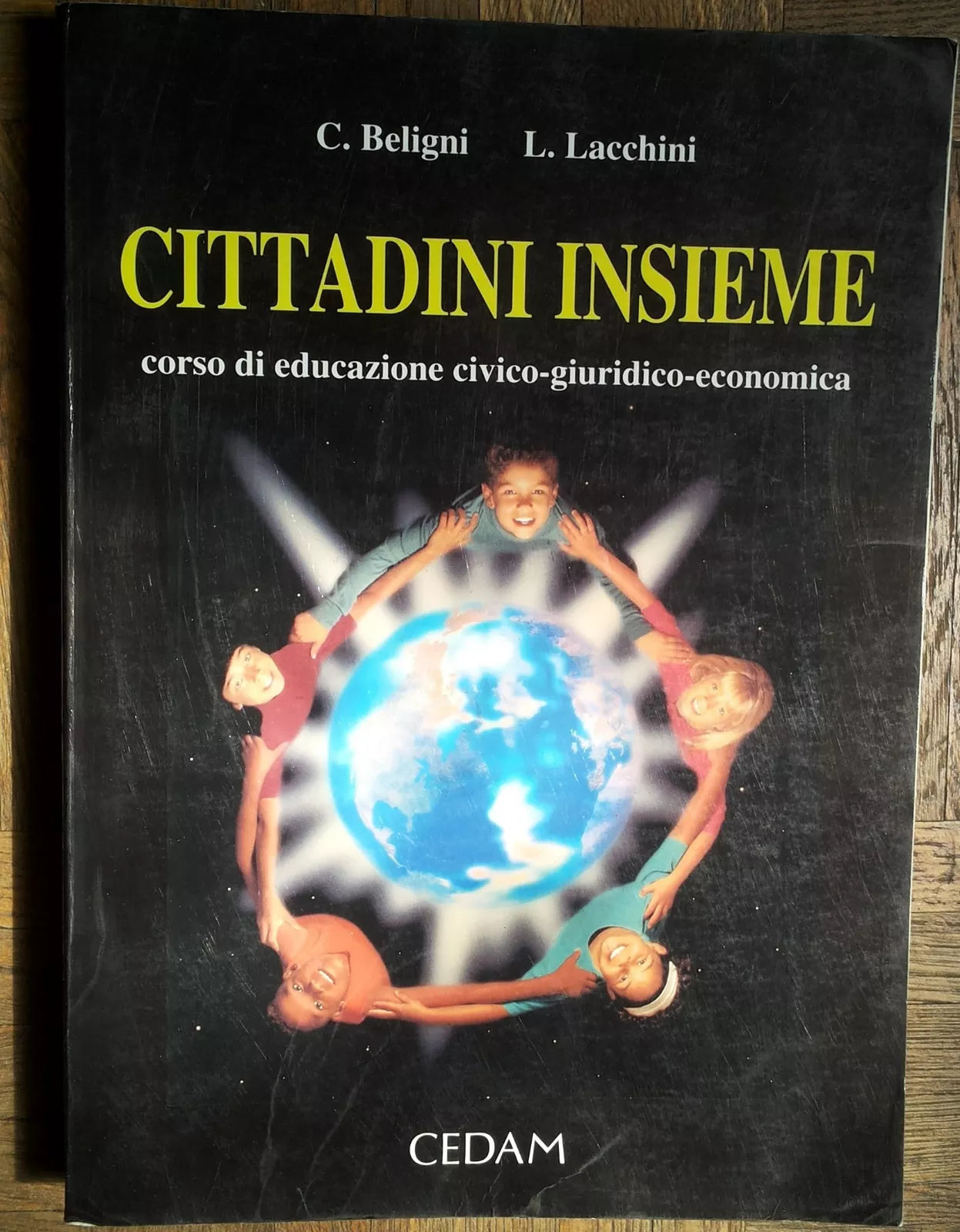Cittadini insieme - Beligni, Lacchini - CEDAM,1996