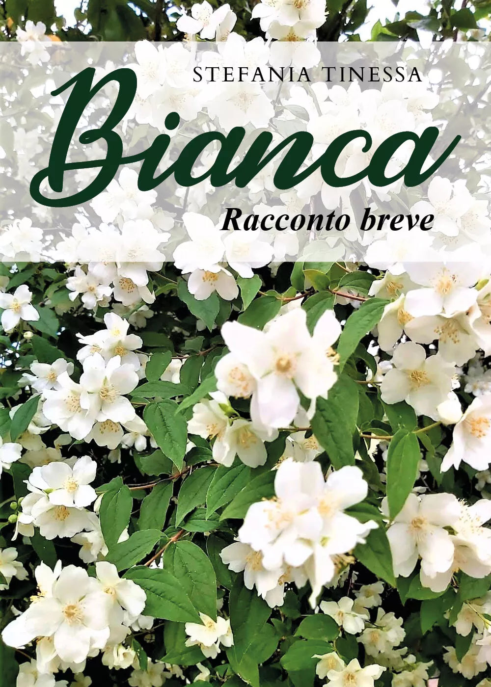 Bianca di Stefania Tinessa, 2021, Youcanprint