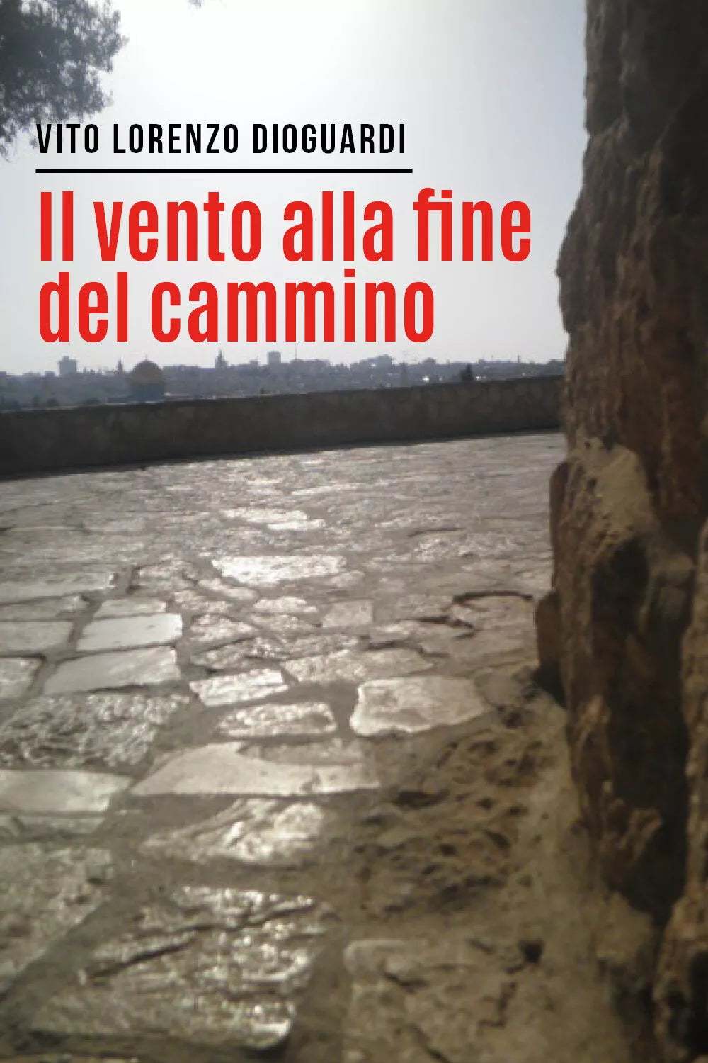 Il vento alla fine del cammino di Vito Lorenzo Dioguardi