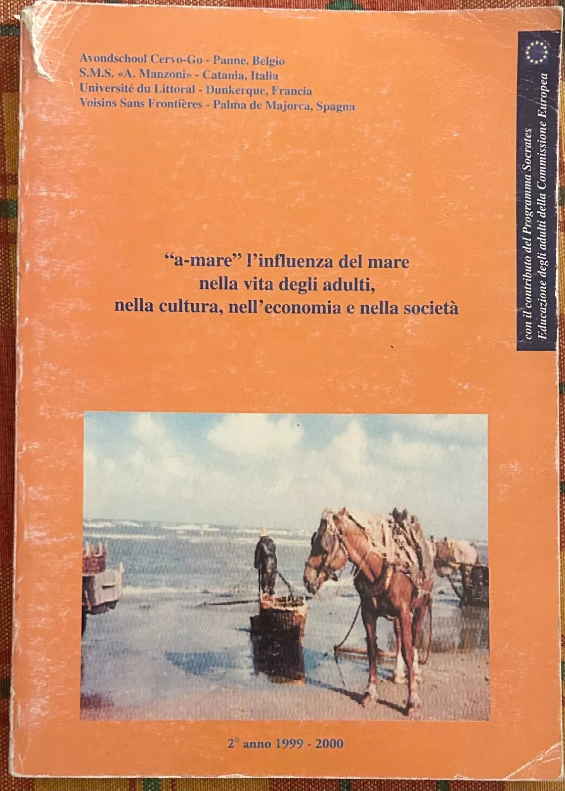 a mare l influenza del mare nella vita degli adulti nella cultura nell economi