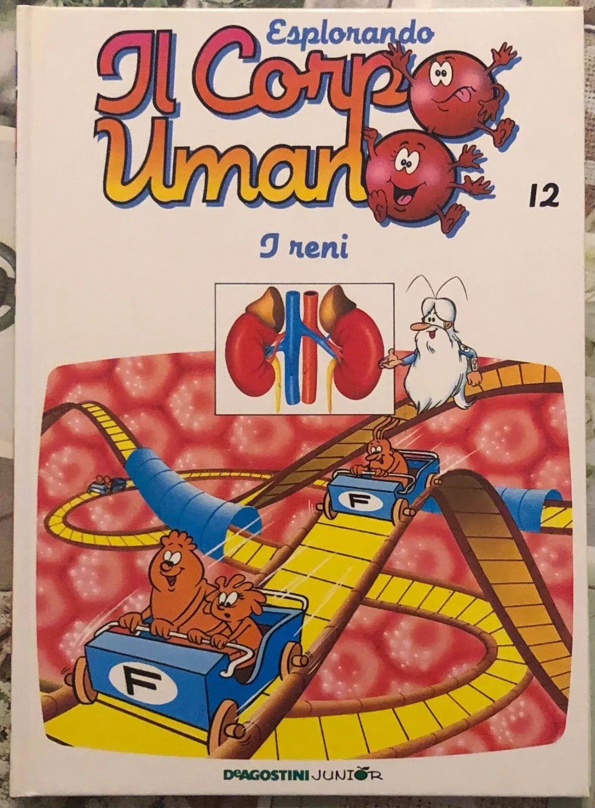 Esplorando il corpo umano n 12