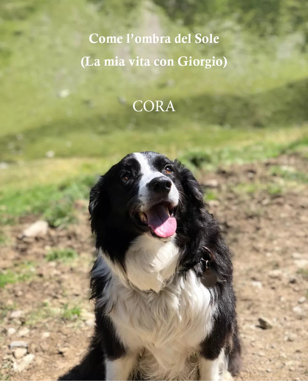 Come l’ombra del Sole La mia vita con Giorgio di Cora, 2021, Youcanprint