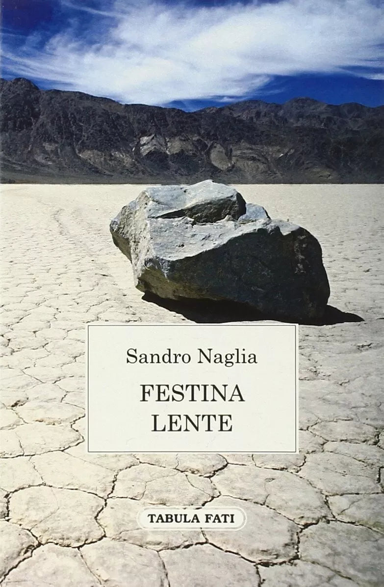 Festina lente di Sandro Naglia