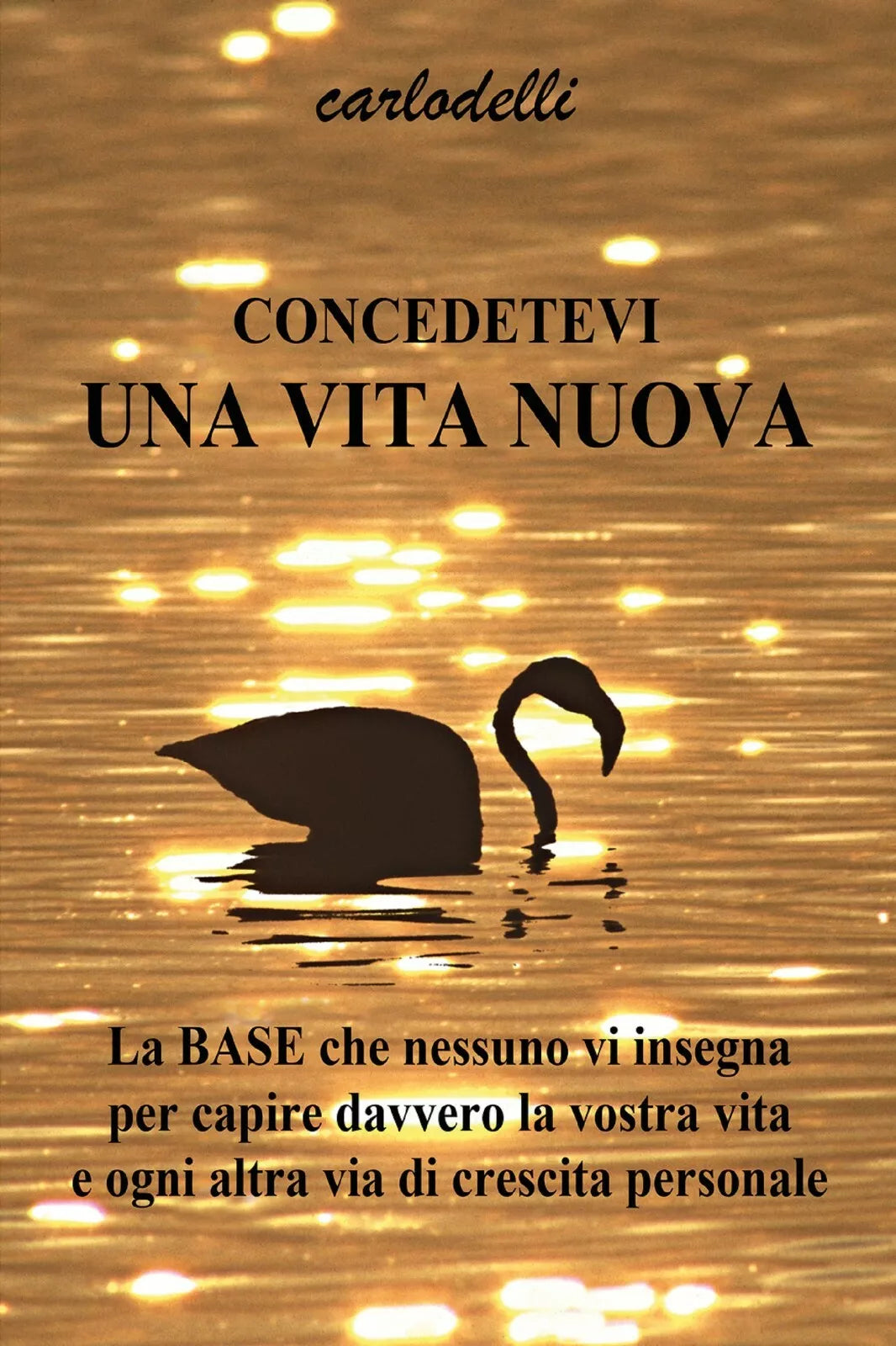 Concedetevi una vita nuova di Carlo Delli, 2020, Youcanprint