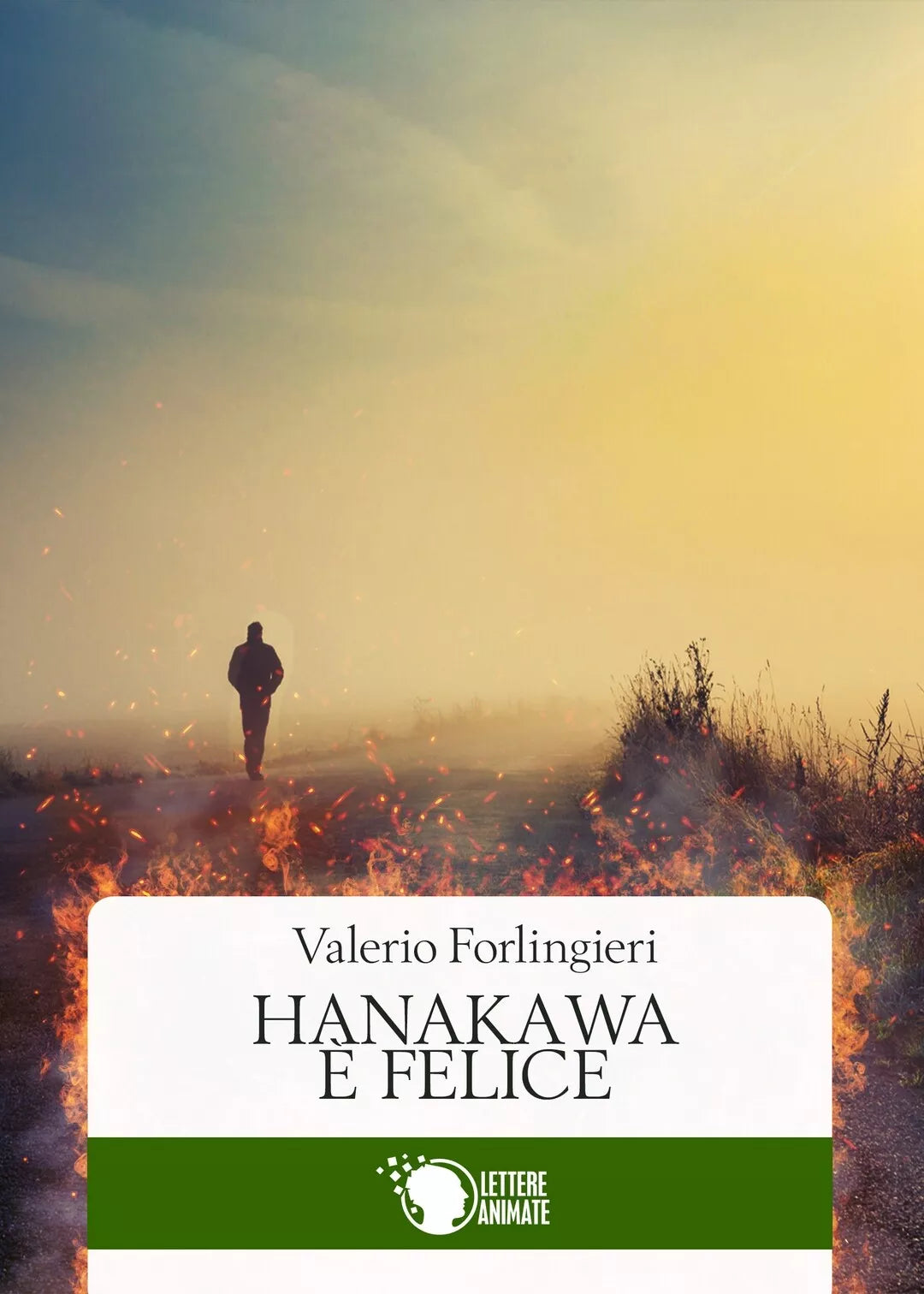 Hanakawa e Felice di Valerio Forlingieri, 2016, Lettere Animate Editore