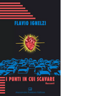 I punti in cui scavare di Flavio Ignelzi