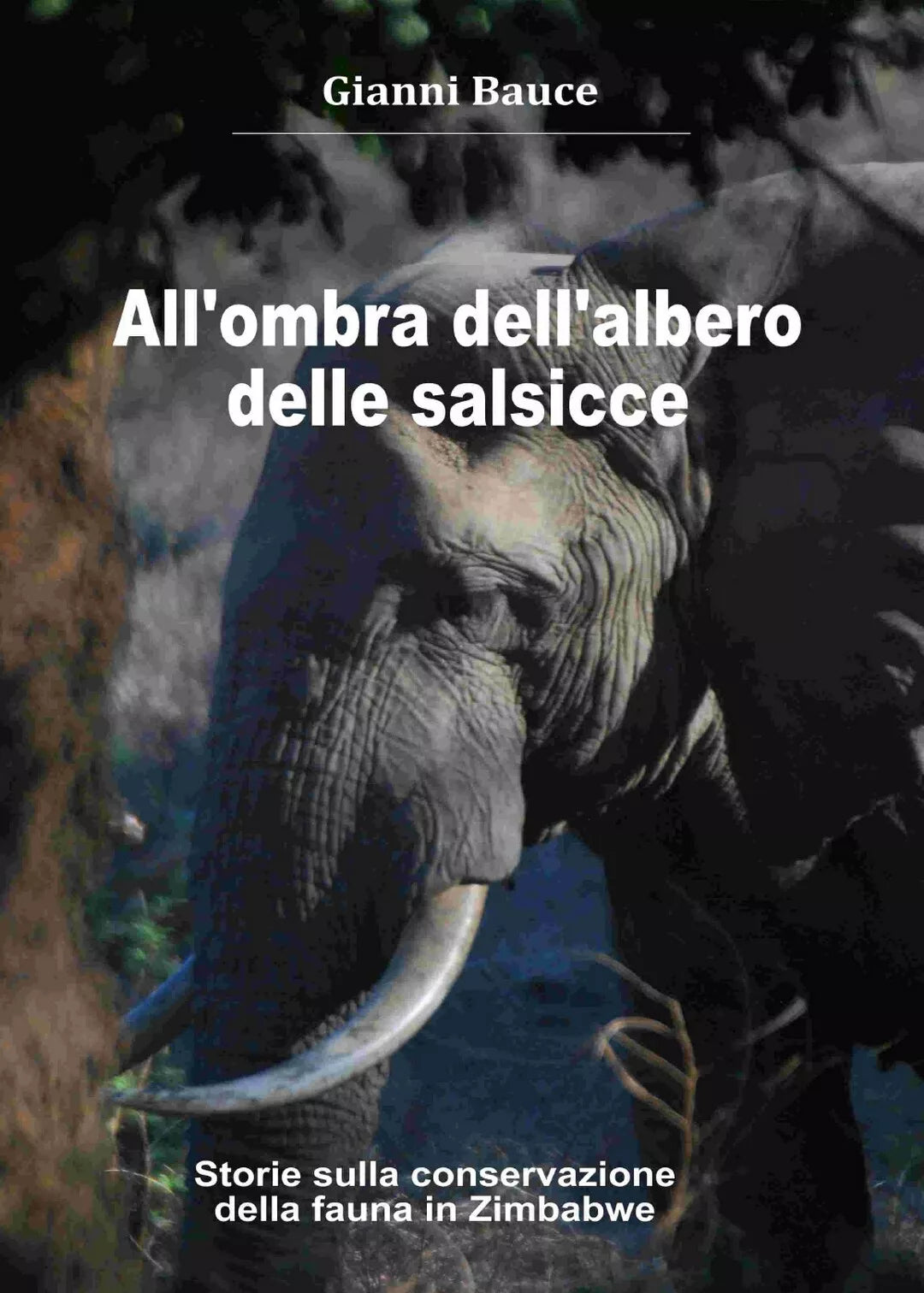 All’ombra dell’albero delle salsicce di Gianni Bauce, 2019, Youcanprint