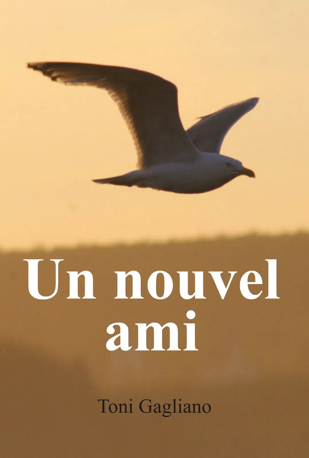Un nouvel ami di Antonino Gagliano, 2020, Youcanprint