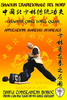Shaolin Tradizionale del Nord Vol 16