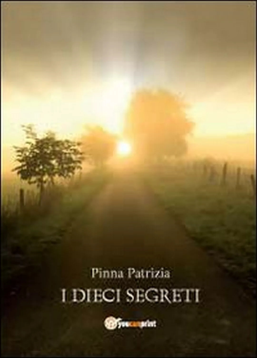 I dieci segreti di Patrizia Pinna, 2012, Youcanprint