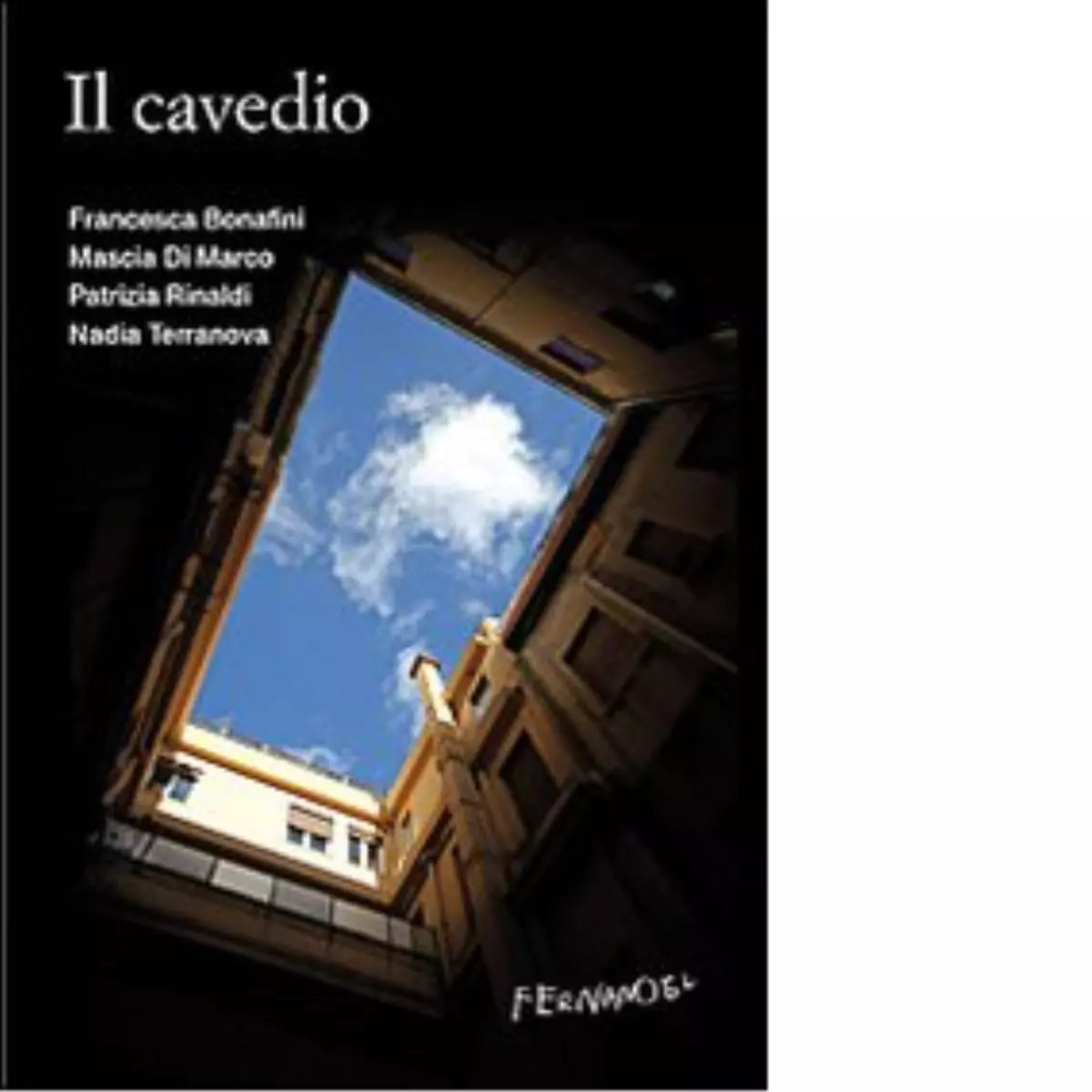 Il cavedio di Francesca Bonafini