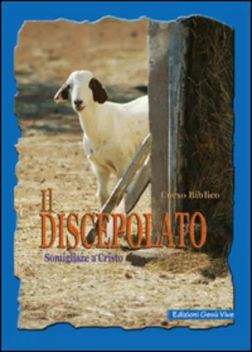 Il discepolato. Somigliare a Cristo di Aa.vv., 2015, Youcanprint