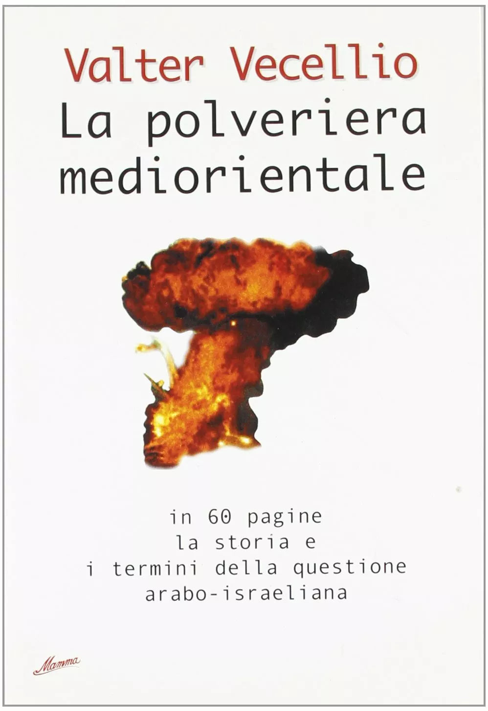 La polveriera mediorientale In 60 pagine