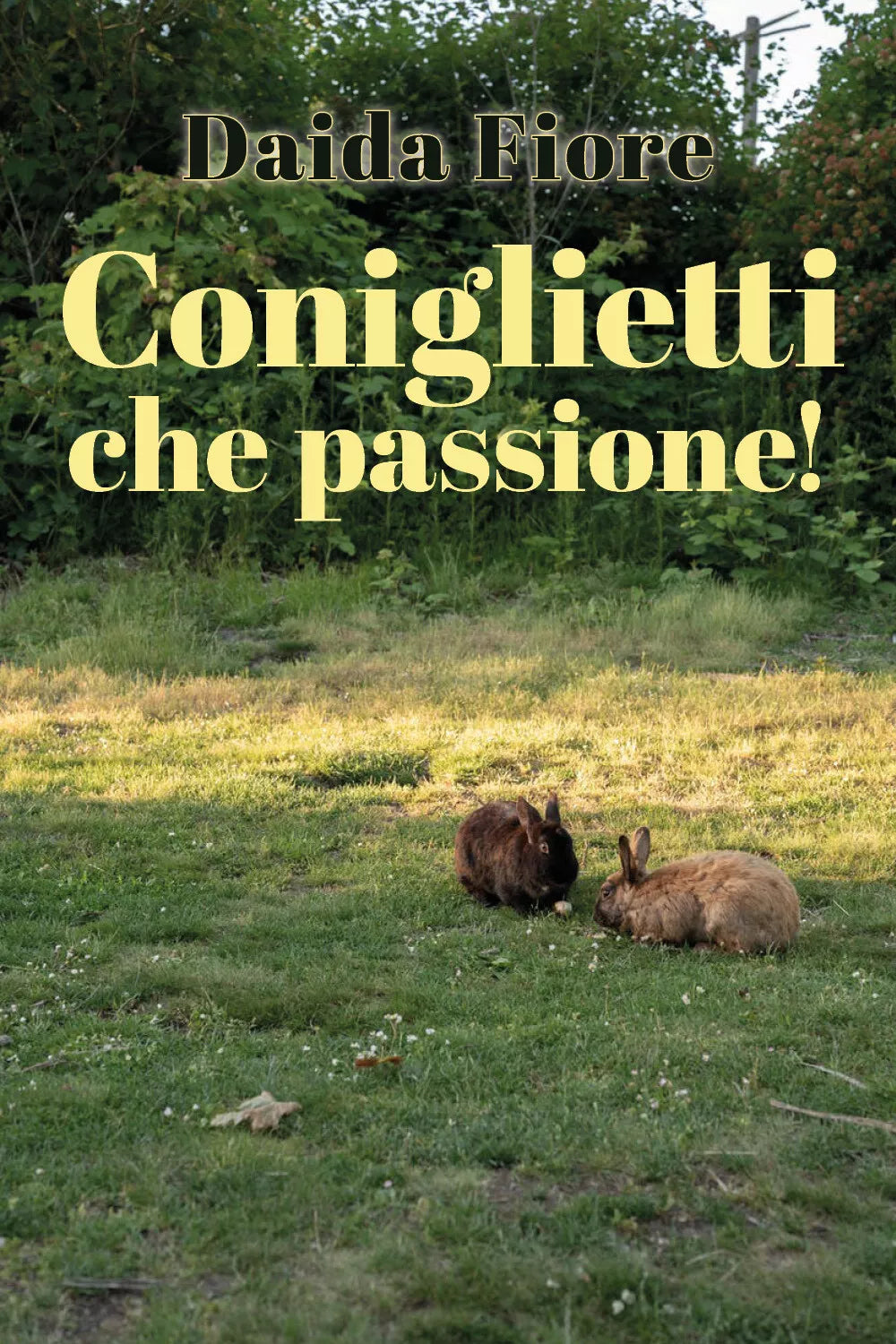 Coniglietti che passione! di Daida Fiore, 2021, Youcanprint