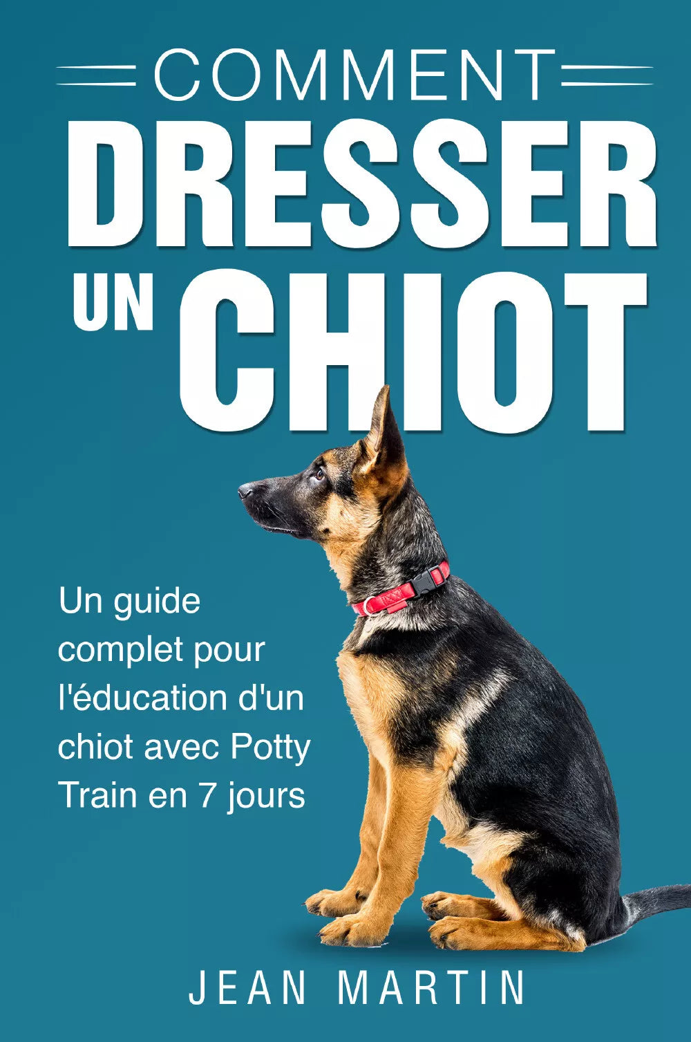 Comment dresser un chiot Un guide complet pour l ducation d un chiot avec Pott