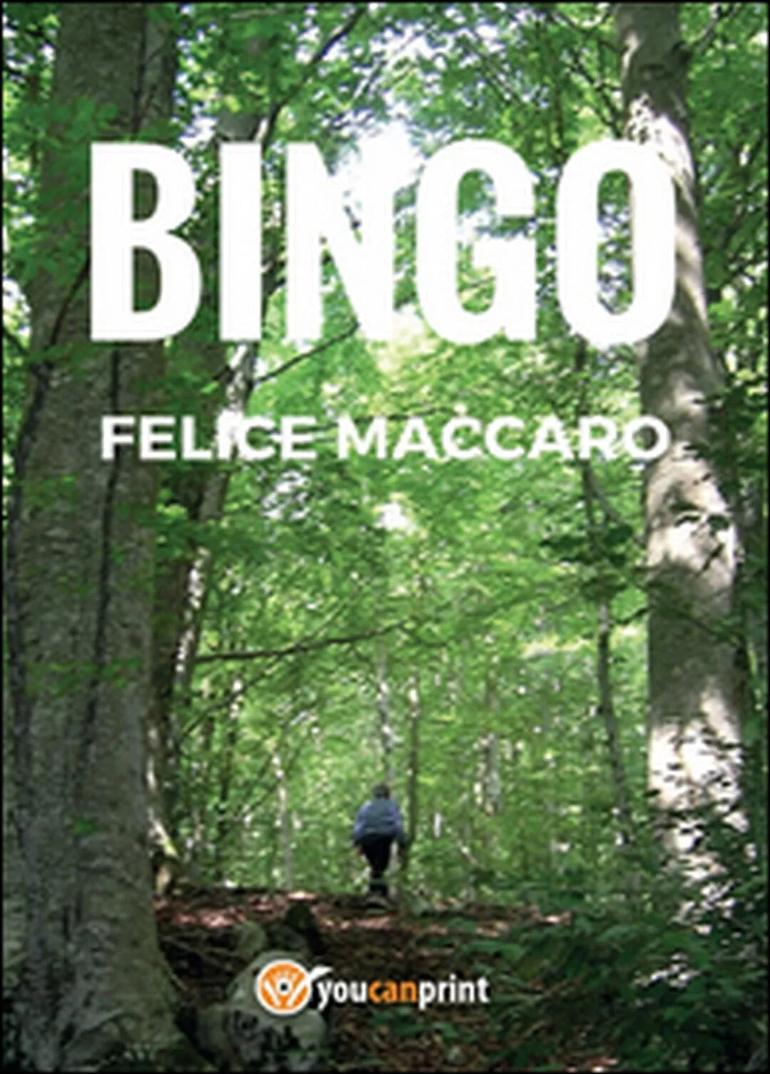 Bingo di Felice Maccaro, 2015, Youcanprint