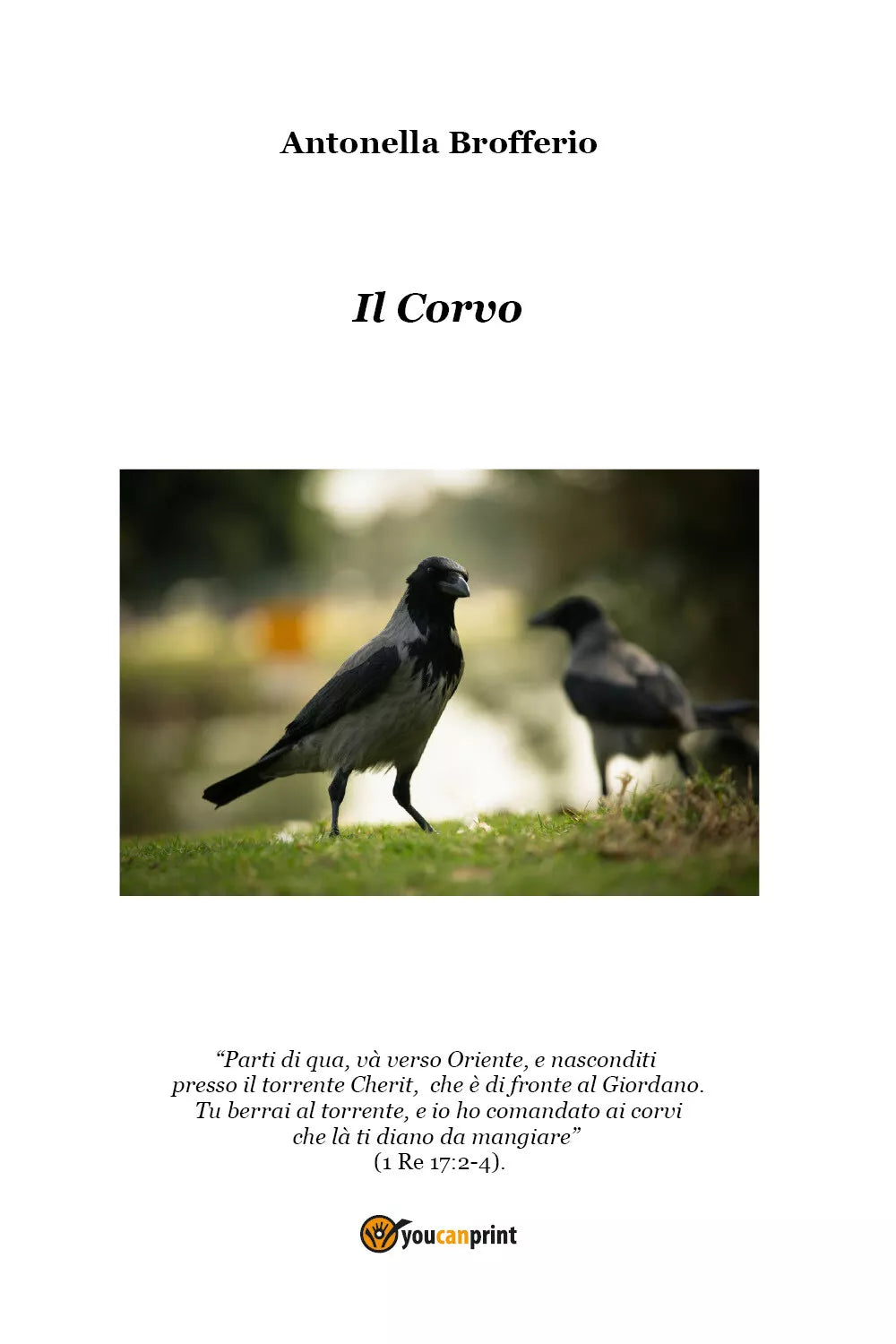 Il corvo di Antonella Brofferio, 2021, Youcanprint