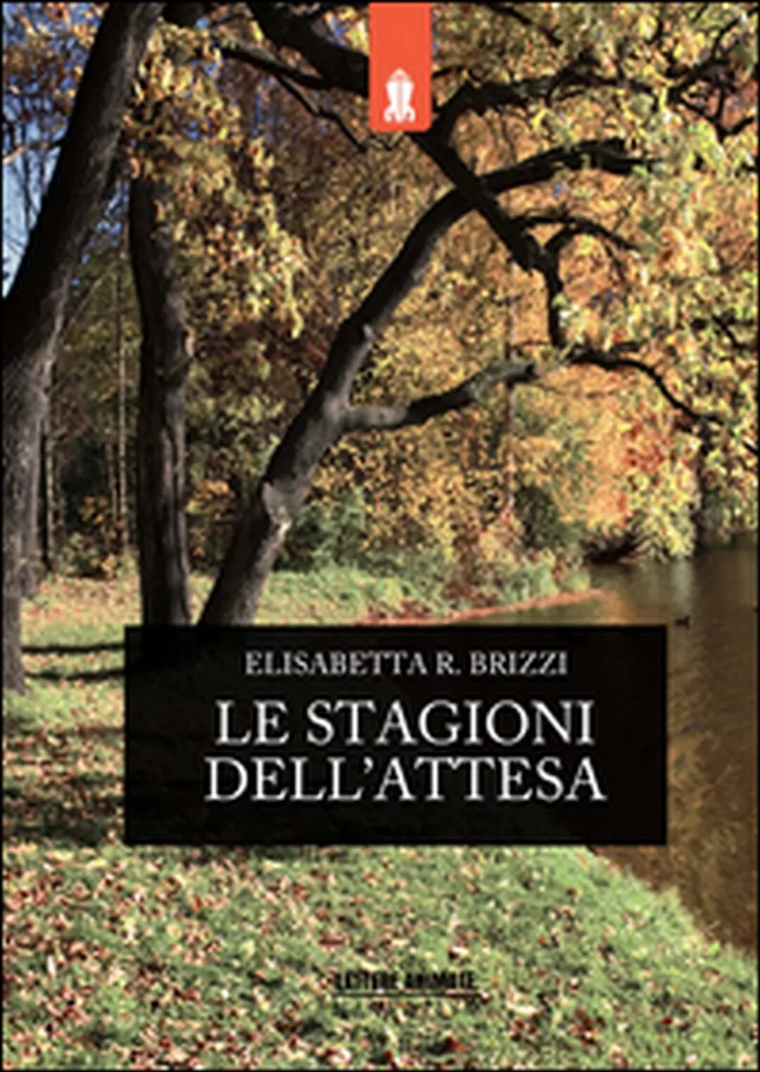 Le stagioni dell’attesa, Elisabetta R. Brizzi, 2015, Lettere Animate Editore