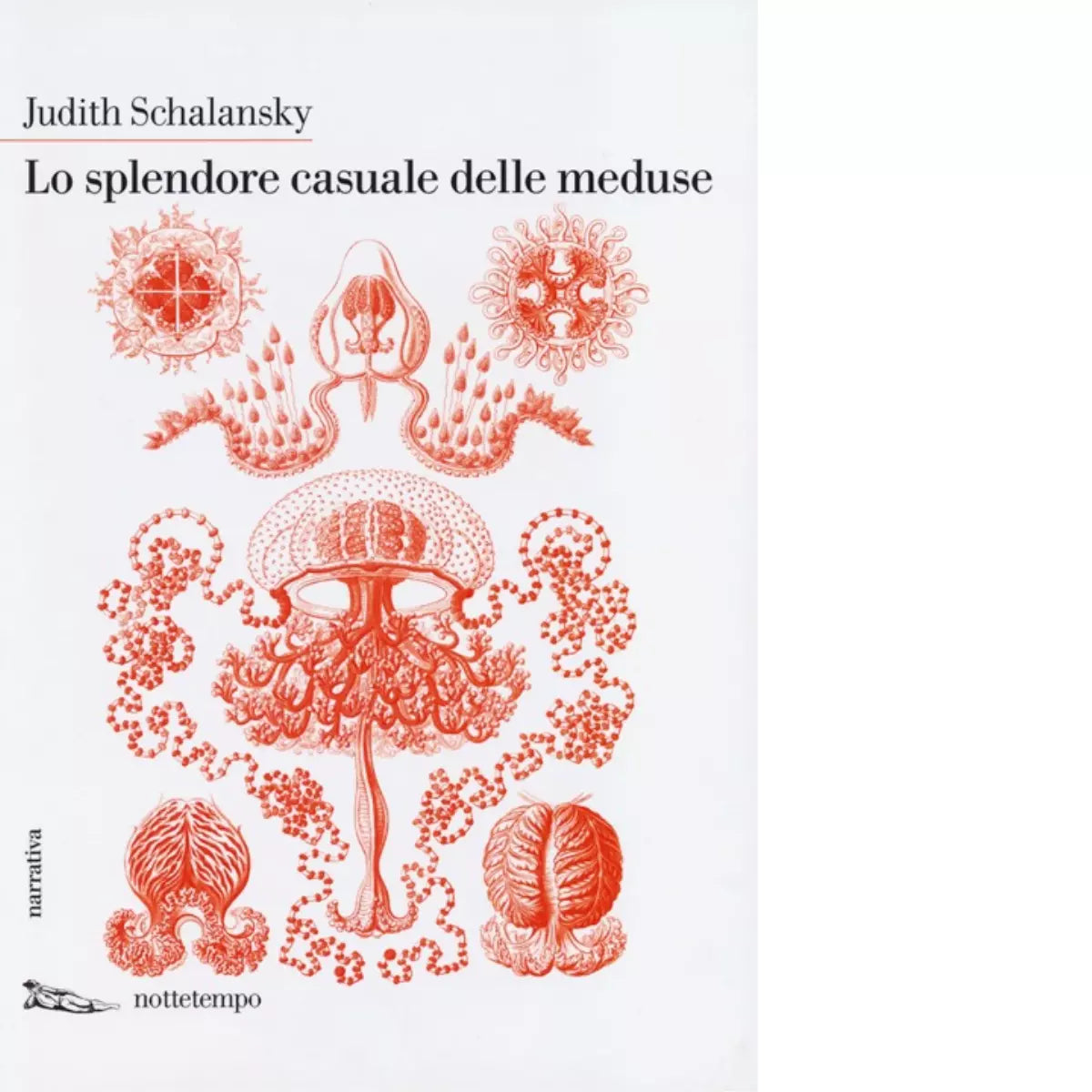 Lo splendore casuale delle meduse di Judith Schalansky