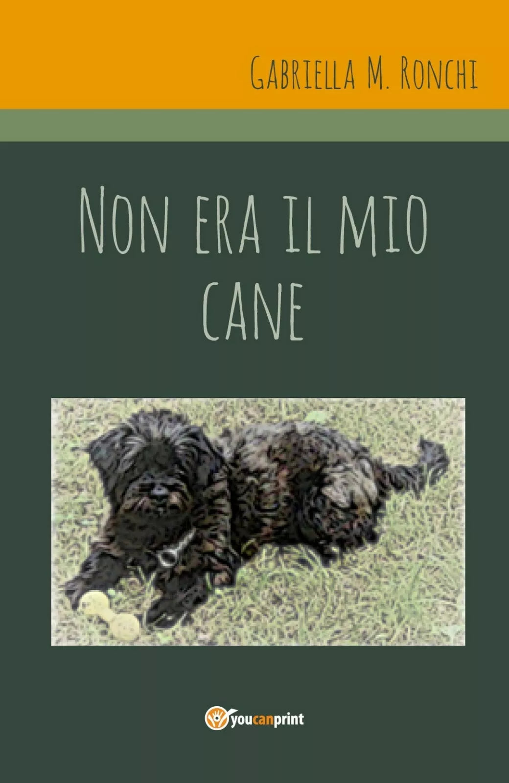 Non era il mio cane di Gabriella Marchi, 2020, Youcanprint