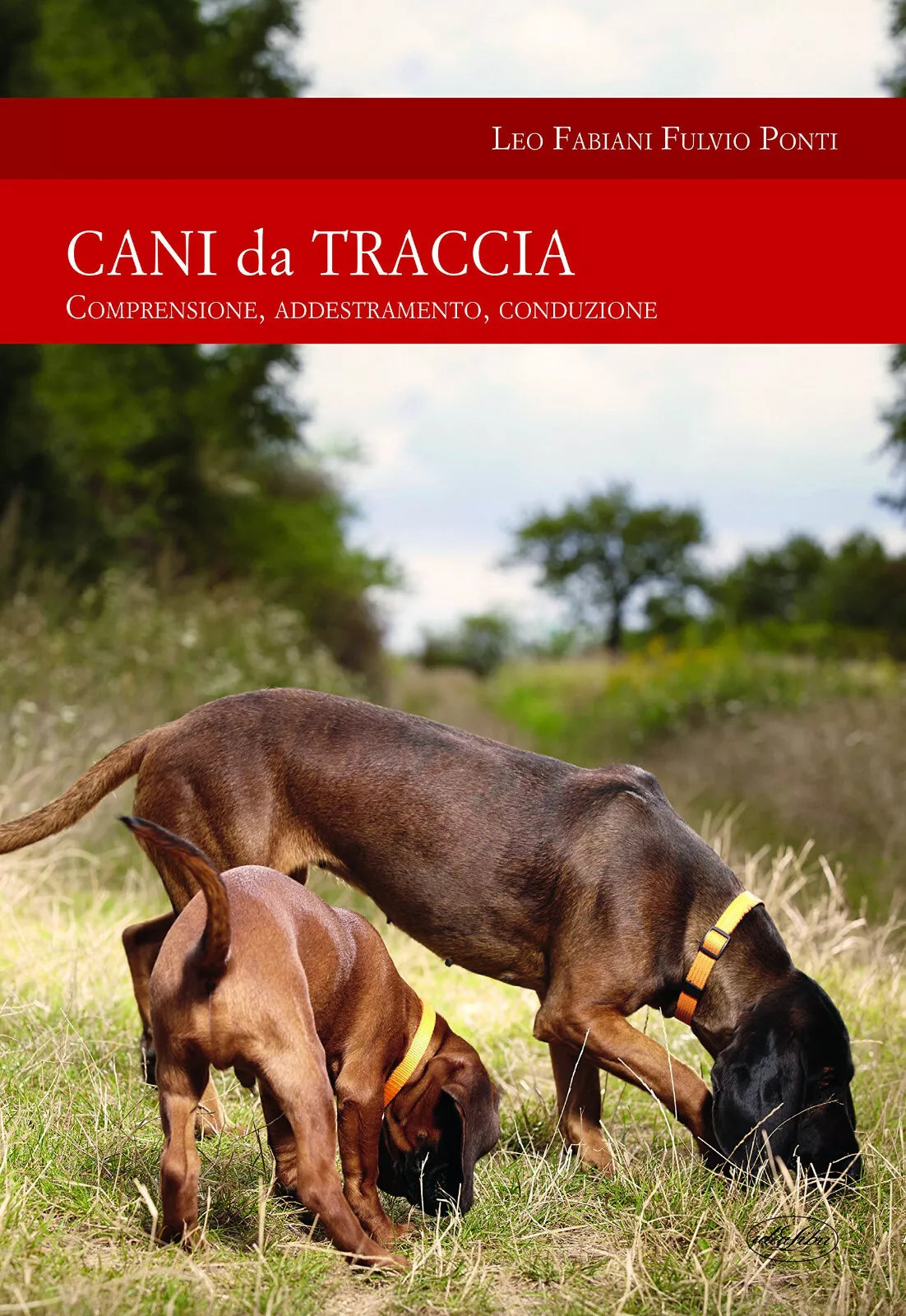 Cani da traccia
