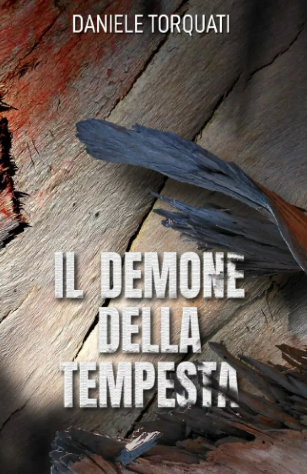IL DEMONE DELLA TEMPESTA di Daniele Torquati