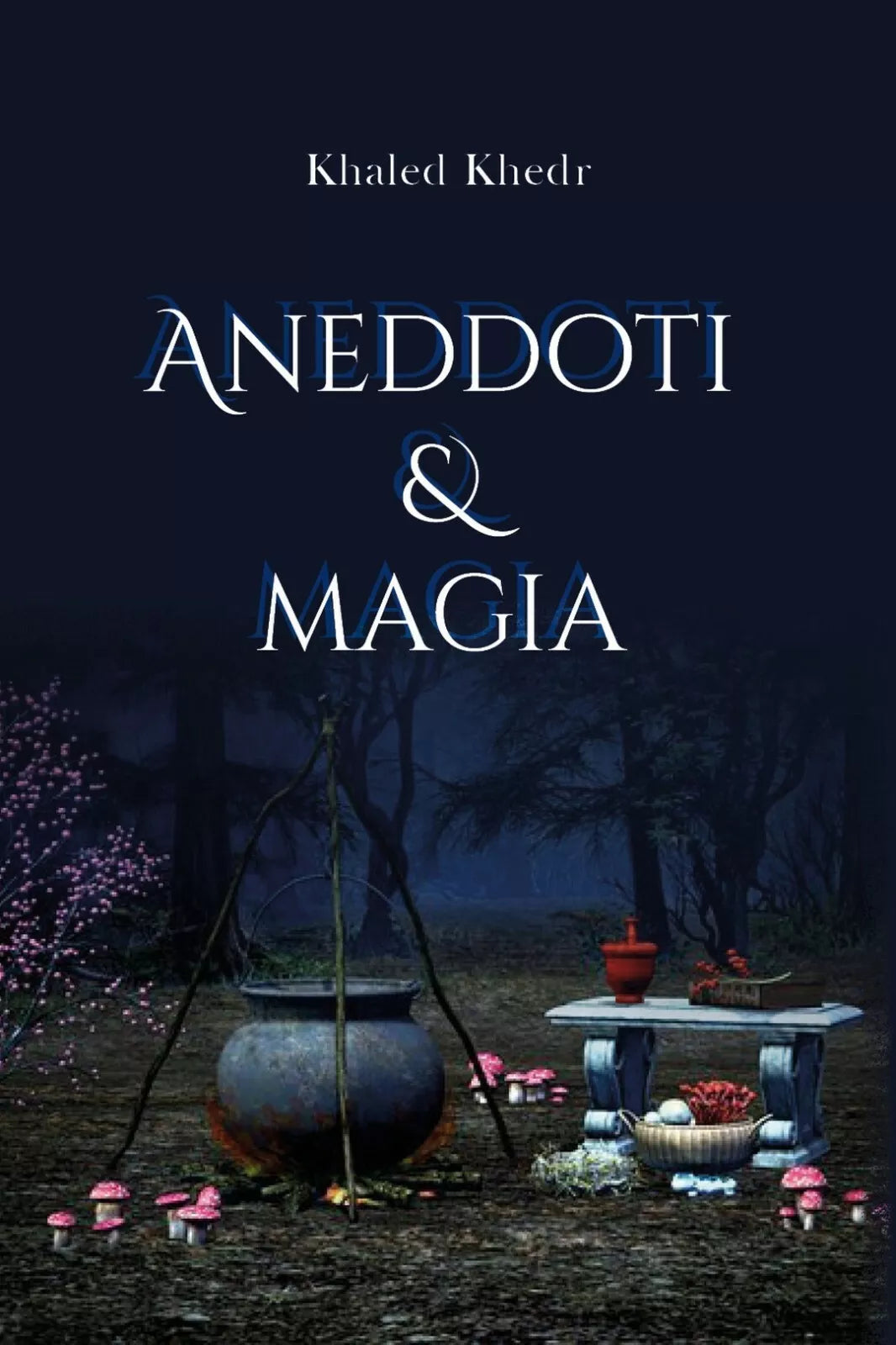 Aneddoti e magia di Khaled Khedr, 2020, Youcanprint