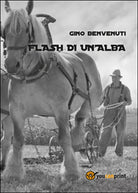 Flash di un’alba di Gino Benvenuti, 2014, Youcanprint