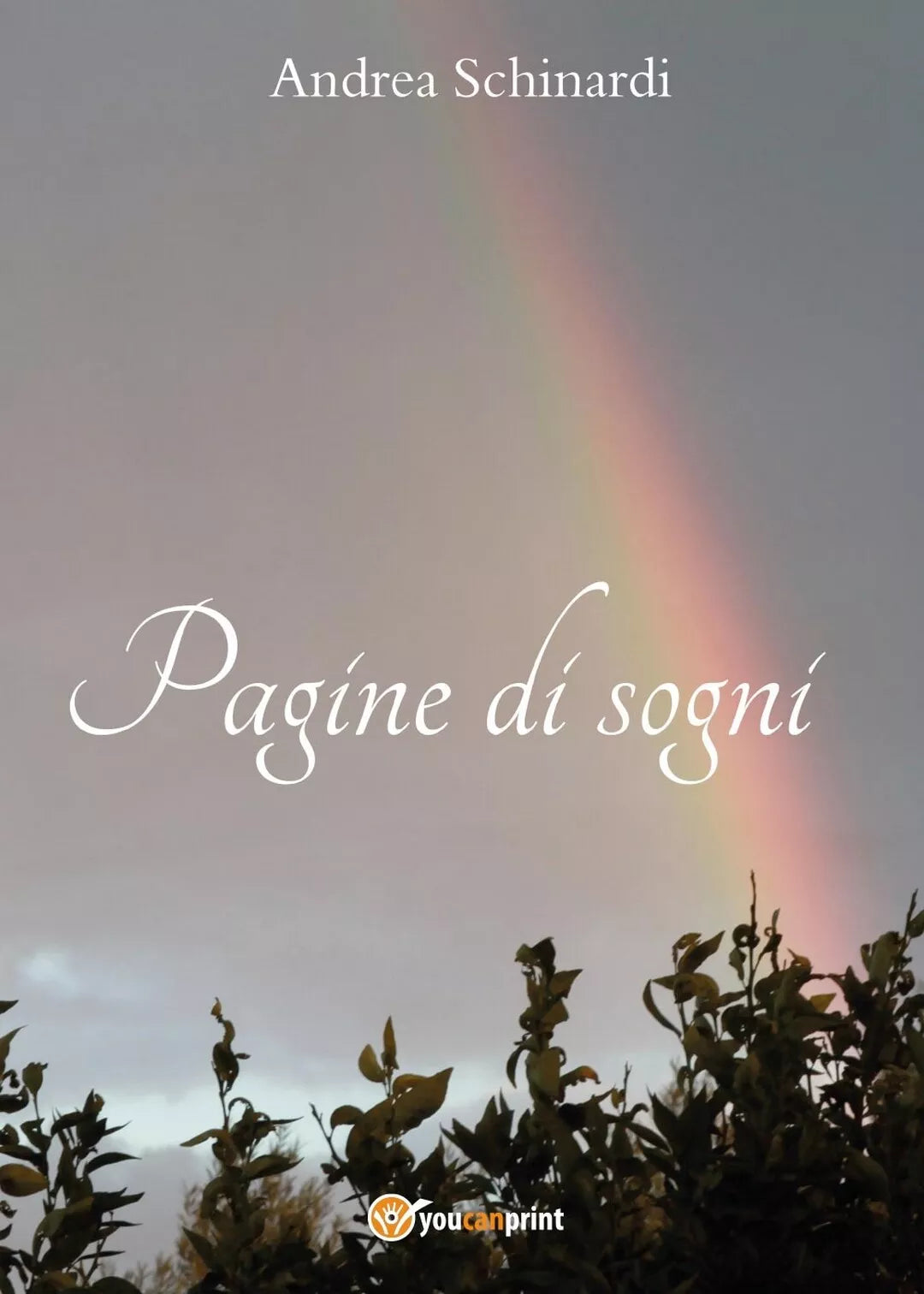 Pagine di sogni di Andrea Schinardi, 2017, Youcanprint
