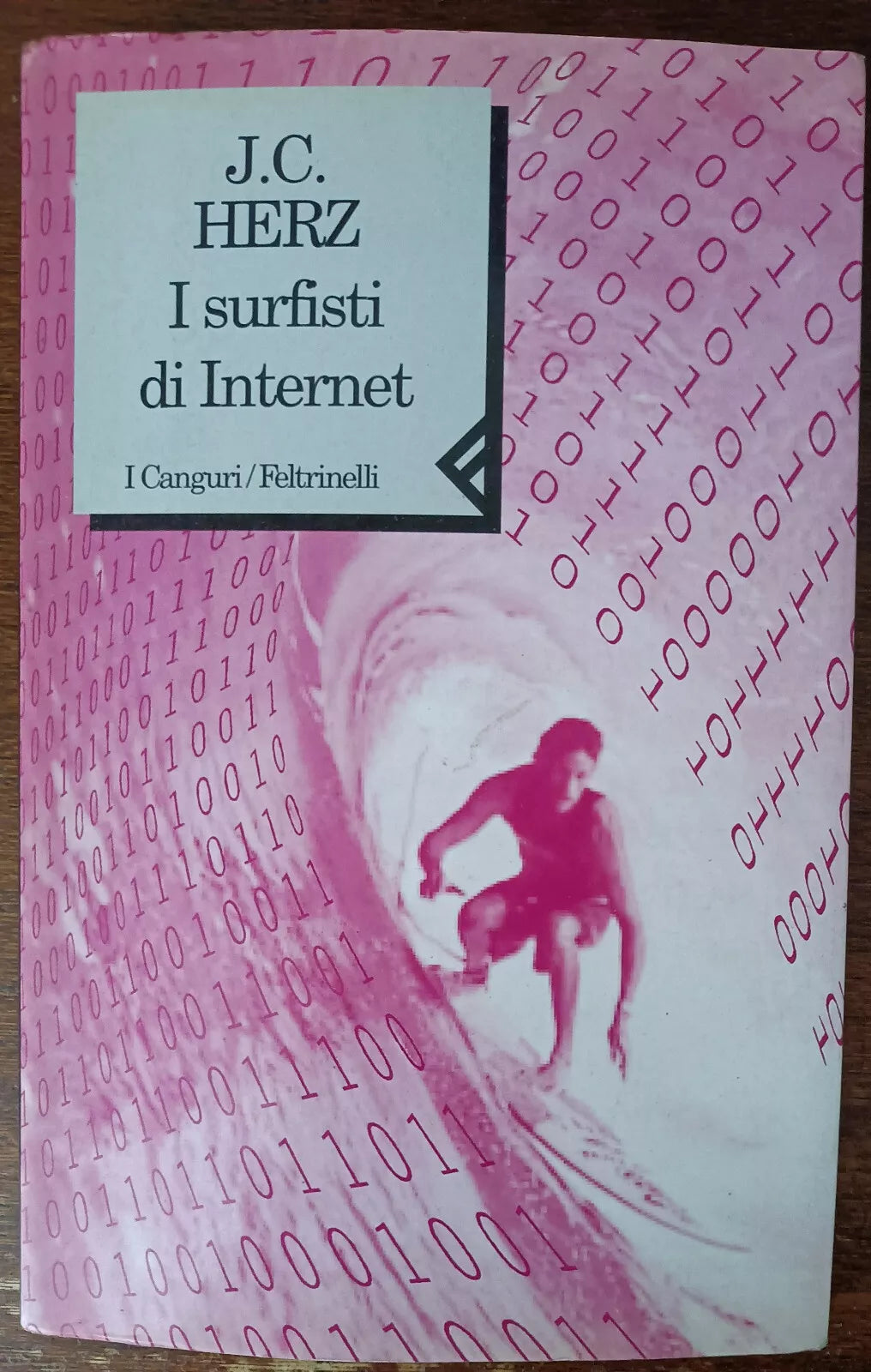 I surfisti di Internet