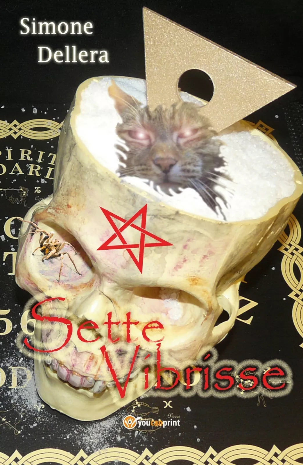 Sette Vibrisse di Simone Dellera, 2017, Youcanprint