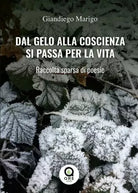 Dal gelo alla coscienza si passa per la vita Raccolta sparsa di poesie di Gian