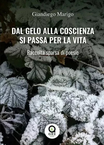 Dal gelo alla coscienza si passa per la vita Raccolta sparsa di poesie di Gian